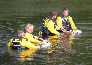 Slaney service 01 CF035