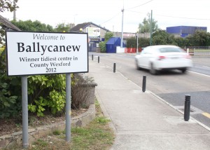 2012 Tidy Town winner, Ballycanew. Pic: Christy Farrell