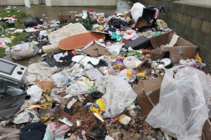 Rubbish dumped in the front garden of no. 7 Marconi Park, Enniscorthy. Pic: John Walsh