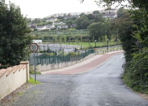 Kilnahue Lane, on the outskirts of Gorey, where residents have concerns about planning for a major housing development.