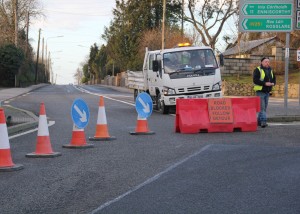 The scene of the fatal car accident in Ferns on January 12.