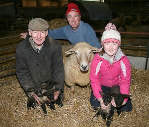 Sean, John and Claire Doyle, Killcullen, Ballindaggin pictured with their Texel cross ewe who gave birth to 5 healthy lambs on Friday morning last. Pic: John Walsh