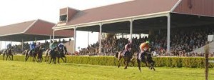 Wexford racecourse where tomorrow's action will get under way at 3.55 p.m.