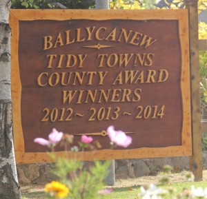 Another year, another win for Ballycanew. Pic: Christy Farrell