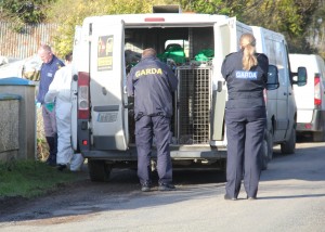 Gardai at the scene in Ferns. Pic: Christy Farrell