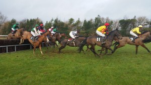 Elusive Classic (3) leads the eventual winner, Singing Banjo, ridden by Barry Walsh, as the field heads out on the final circuit at Tinahely today.