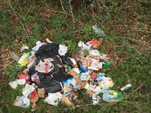 Domestic rubbish was strewn around the walkway at Lacken Wood
