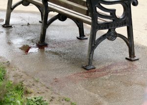 Pools of blood were discovered all along the Promanade on Sunday morning last. Pic: John Walsh